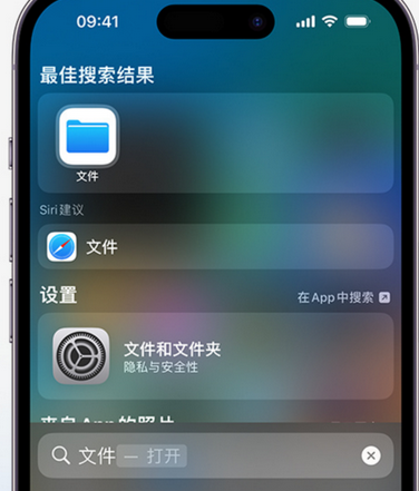 随州apple维修中心分享iPhone文件应用中存储和找到下载文件 