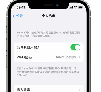 随州apple服务站点分享iPhone上个人热点丢失了怎么办 