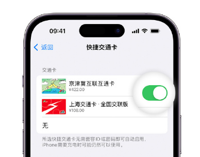 随州apple维修点分享iPhone上更换Apple Pay快捷交通卡手绘卡面 