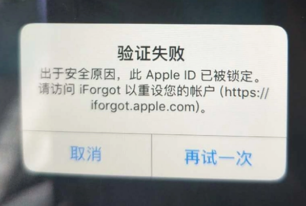 随州iPhone维修分享iPhone上正常登录或使用AppleID怎么办 