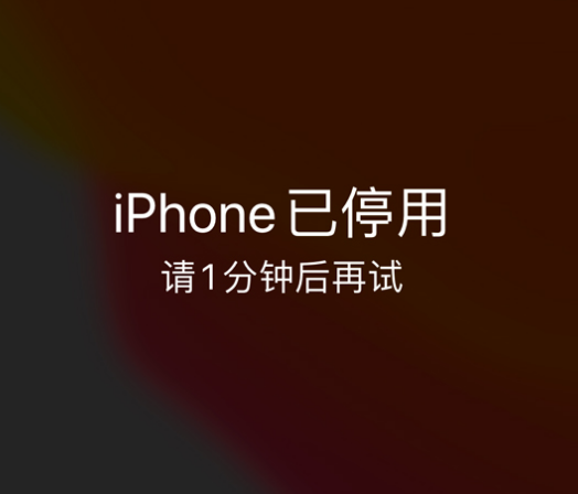 随州苹果手机维修分享:iPhone 显示“不可用”或“已停用”怎么办？还能保留数据吗？ 