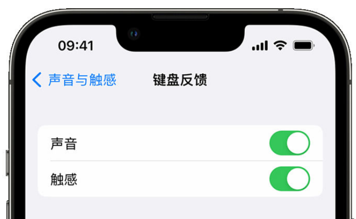 随州苹果手机维修分享iPhone 14触感键盘使用方法 