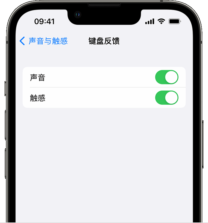 随州苹果14维修店分享如何在 iPhone 14 机型中使用触感键盘 