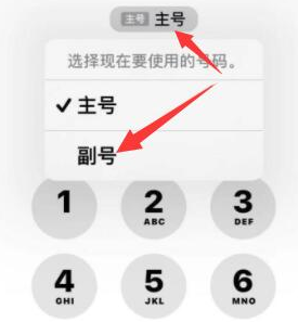 随州苹果14维修店分享iPhone 14 Pro Max使用副卡打电话的方法 