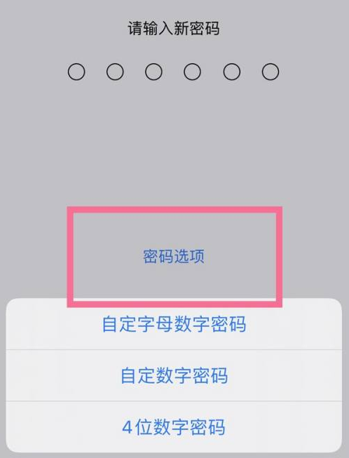 随州苹果14维修分享iPhone 14plus设置密码的方法 