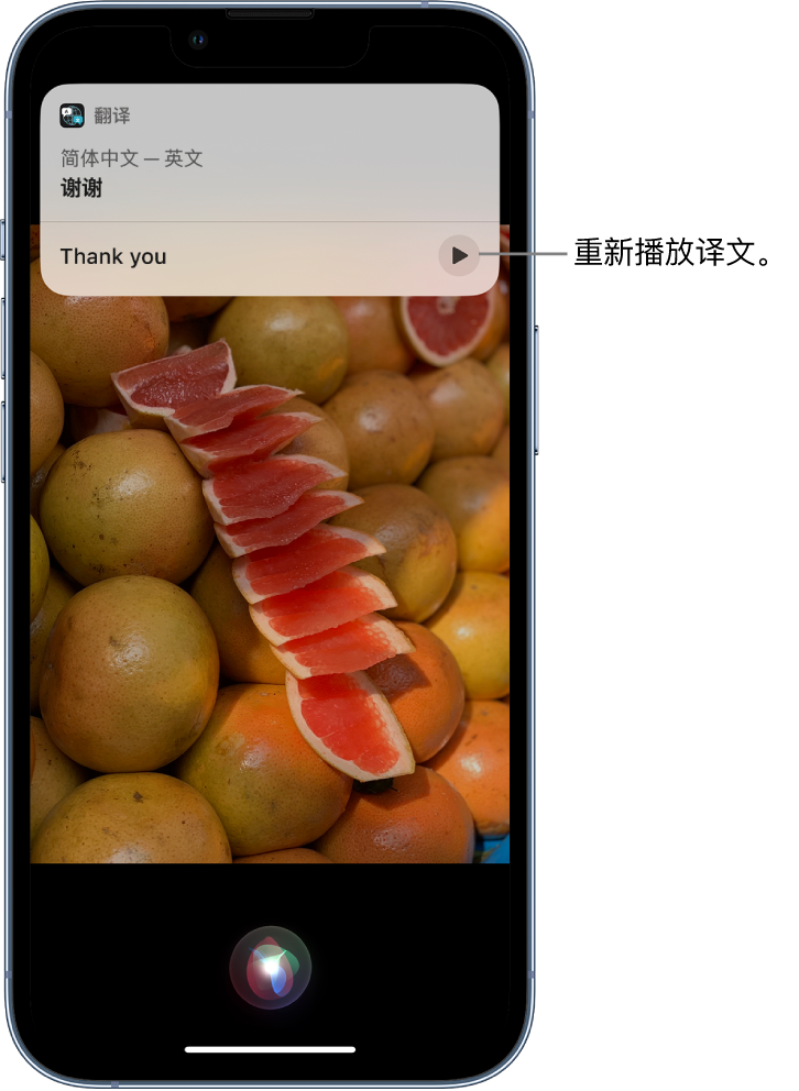 随州苹果14维修分享 iPhone 14 机型中使用 Siri：了解 Siri 能帮你做什么 