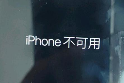 随州苹果服务网点分享锁屏界面显示“iPhone 不可用”如何解决 