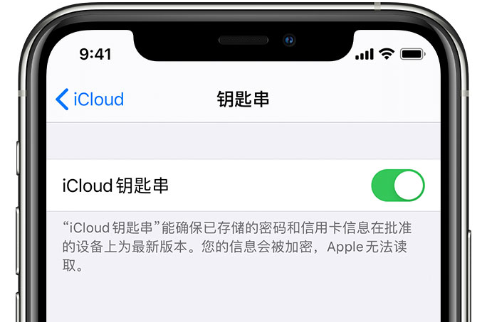 随州苹果手机维修分享在 iPhone 上开启 iCloud 钥匙串之后会储存哪些信息 