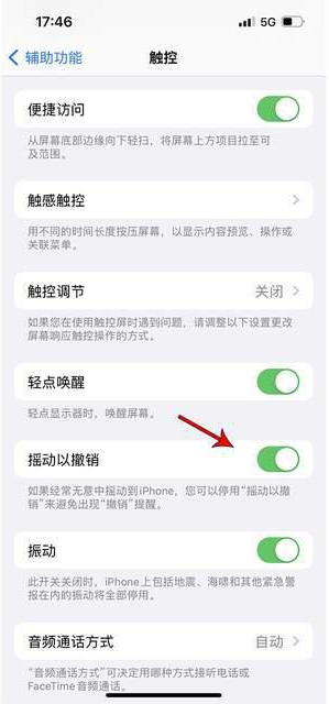 随州苹果手机维修分享iPhone手机如何设置摇一摇删除文字 