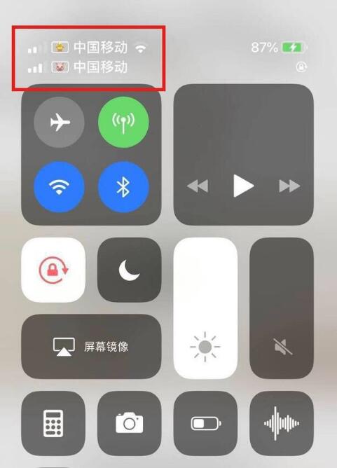 随州苹果手机维修分享为 iPhone 12 双卡设置标签 