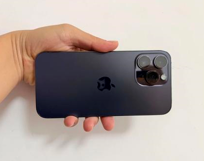 随州苹果维修点分享iPhone 14 Pro Max发烫多重诱因剖析 